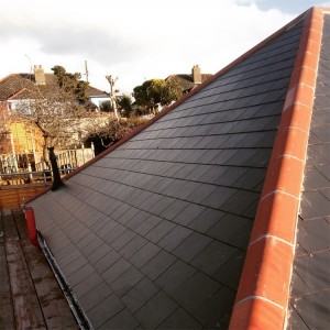 Torbay_Roofing_Repairs_23